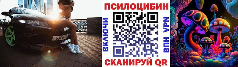 закладки Городец shop Telegram Галлюциногенные грибы MAGIC MUSHROOMS